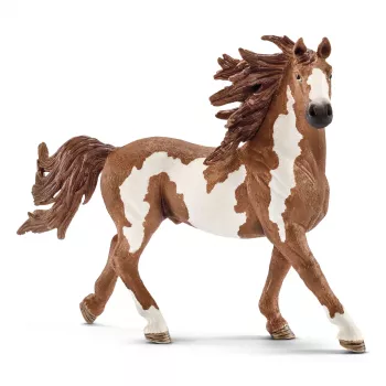 schleich FARM WORLD Garanhão Pinto, 3 anos, Animais da quinta / Brinquedo de quinta, Cavalos, Multicolorido, Plástico, 1 unid.