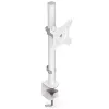 Suporte para monitor ENDORFY Atlas para ecrãs de 27 polegadas (68,6 cm), suporte de secretária com grampo, VESA 75x75–100x100, carga máx. 8 kg, branco