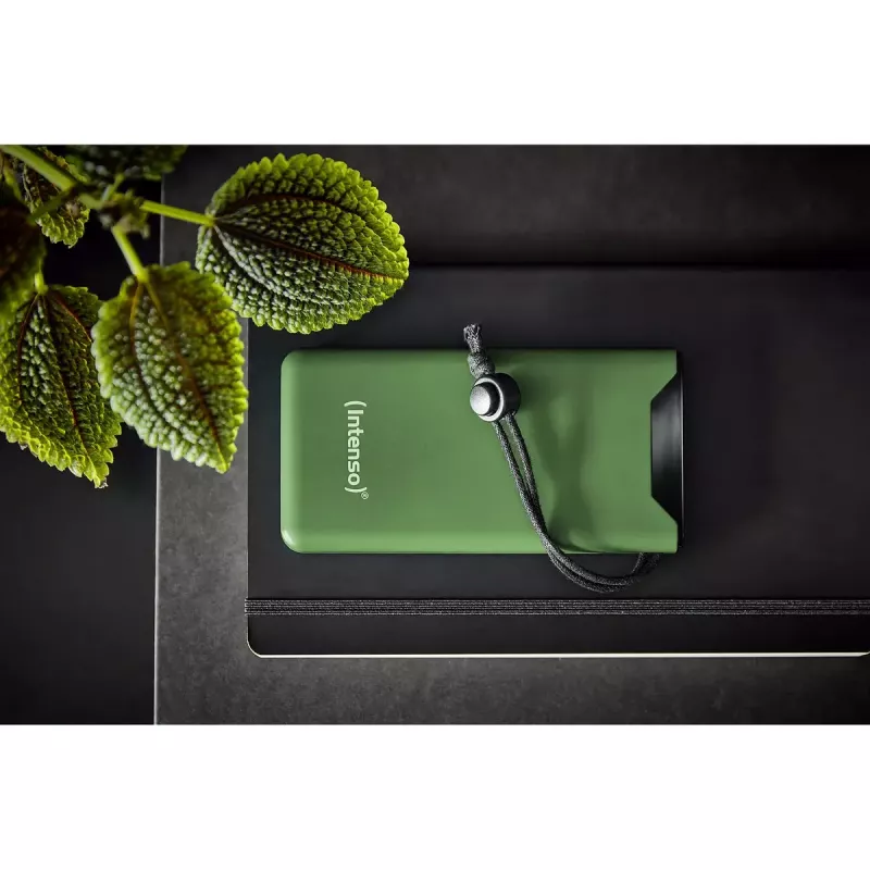 Powerbank portátil Intenso 7332037 10000 mAh