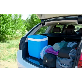 Arca frigorífica Campingaz Icetime Plus 26L azul