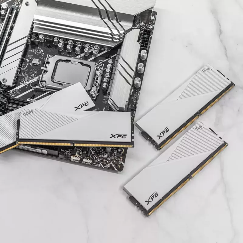 DIMM 16 GB DDR5-6000, memória RAM branco, AX5U6000C3016G-CLAWH, Lancer, INTEL XMP