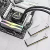 DIMM 64 GB DDR5-6000 (2x 32 GB) Dual-Kit, memória RAM branco, AX5U6000C3032G-DCLARWH, Lancer RGB, INTEL XMP