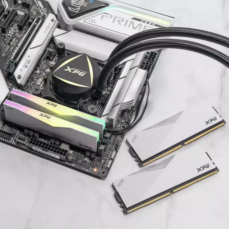 DIMM 64 GB DDR5-6000 (2x 32 GB) Dual-Kit, memória RAM branco, AX5U6000C3032G-DCLARWH, Lancer RGB, INTEL XMP