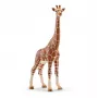 Figura, Schleich, WILD LIFE girafa, fêmea