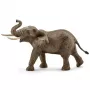 schleich WILD LIFE elefante-africano, macho, 3 ano(s), safari, animais selvagens / brinquedo de aventura, multicolor, plástico, 1 unid.
