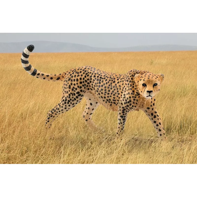 Figura Schleich WILD LIFE chita fêmea 14746