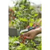 Tesoura de poda VeggieCut Gardena preta verde lâminas de aço inoxidável