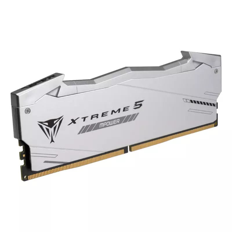 Patriot Viper Gaming RGB XTREME 5 DDR5-8000 RAM, CL 38, Intel XMP 3.0 - 32GB Dual-Kit, prateado