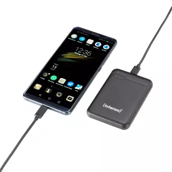 Powerbank Intenso 7313520 5000 mAh