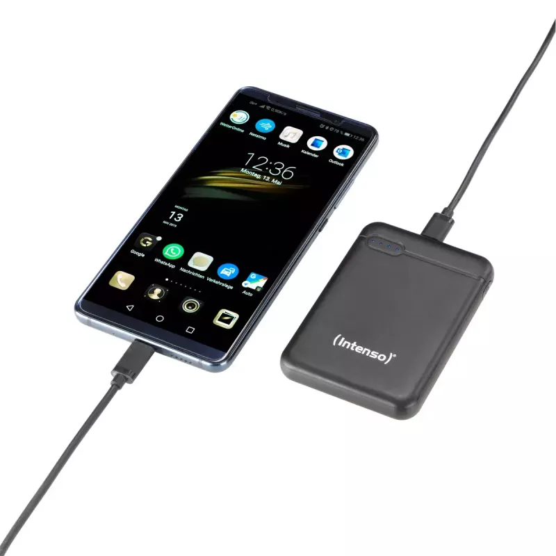 Powerbank Intenso 7313520 5000 mAh