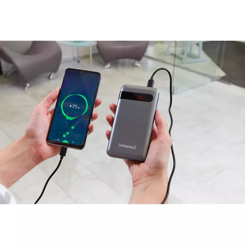 Powerbank portátil Intenso PD10000 10000 mAh