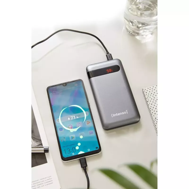Powerbank portátil Intenso PD10000 10000 mAh