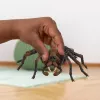 schleich Harry Potter Aragog, 6 ano(s), criaturas mágicas, preto, castanho, branco, plástico