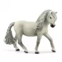 schleich HORSE CLUB Égua pónei da Islândia, 5 anos, Cavalos, Multicolor, Plástico
