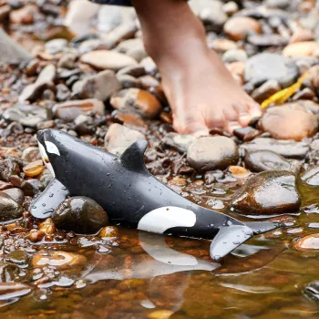 Figura de brincar Schleich WILD LIFE Orca