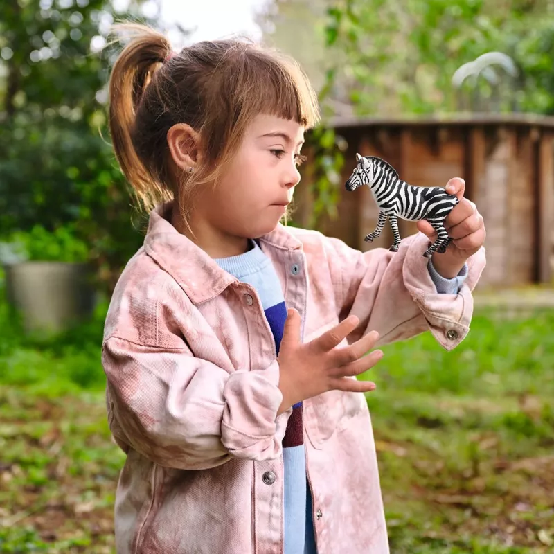 schleich WILD LIFE Zebra fêmea, 3 anos, Safari, animais selvagens / brinquedo de aventura, multicolor, plástico, 1 unid.