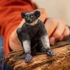 Figura Schleich WILD LIFE Indri multicolor 14877S idade recomendada 3 anos