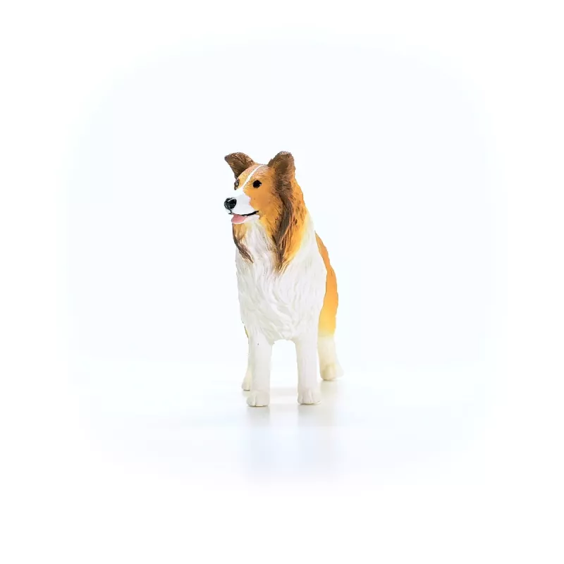 schleich FARM WORLD Collie, 3 ano(s), Quinta, Animais da quinta / brinquedo de quinta, multicolor