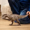 schleich Dinossauro Carcharodontosaurus, 4 ano(s), conquistar a Terra, dinossauros e vulcão, multicolor