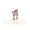 schleich Dinossauro Carcharodontosaurus, 4 ano(s), conquistar a Terra, dinossauros e vulcão, multicolor