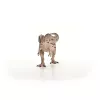 schleich Dinossauro Carcharodontosaurus, 4 ano(s), conquistar a Terra, dinossauros e vulcão, multicolor
