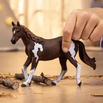 schleich HORSE CLUB Égua Paint Horse, 5 anos, cavalos, multicolor