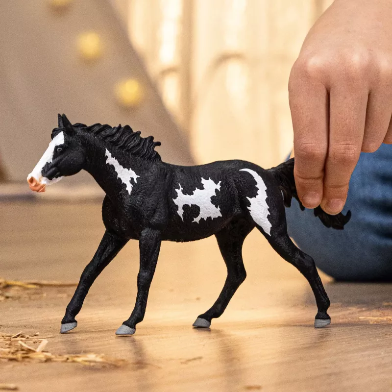 schleich HORSE CLUB Cavalo castrado Paint Horse, 5 anos, cavalos, multicolor