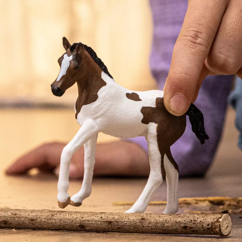 schleich HORSE CLUB Potro Paint Horse, 5 anos, cavalos, multicolor
