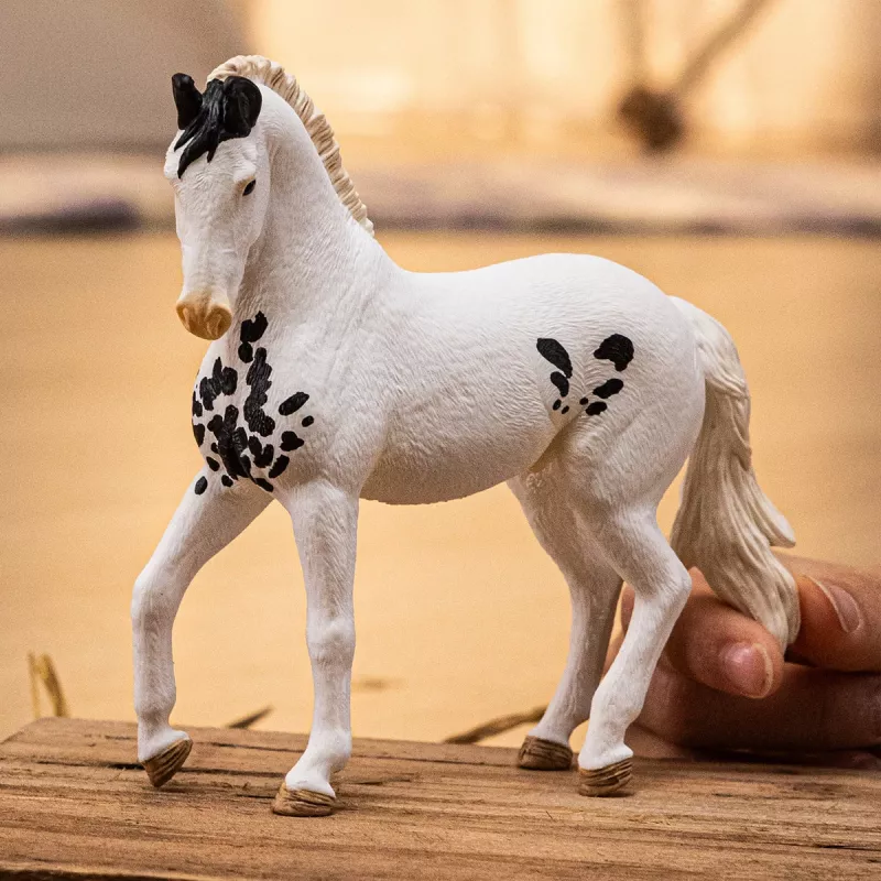 schleich HORSE CLUB Garanhão Marwari, 5 anos, cavalos, multicolor