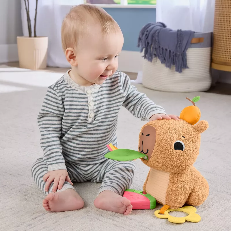 Porquinho-de-água de brincar Fisher-Price Snuggly Snacky Capy 0,5 anos