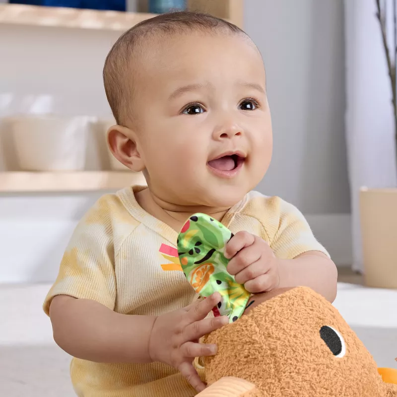 Porquinho-de-água de brincar Fisher-Price Snuggly Snacky Capy 0,5 anos