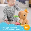 Porquinho-de-água de brincar Fisher-Price Snuggly Snacky Capy 0,5 anos
