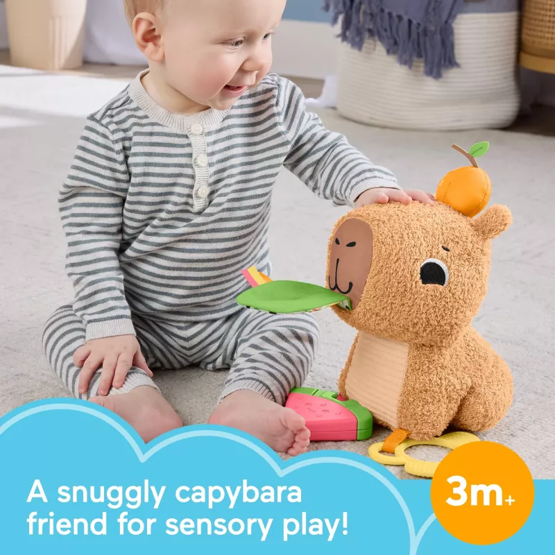Porquinho-de-água de brincar Fisher-Price Snuggly Snacky Capy 0,5 anos