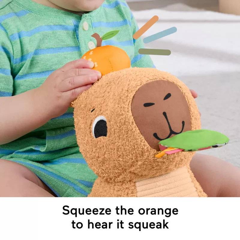 Porquinho-de-água de brincar Fisher-Price Snuggly Snacky Capy 0,5 anos