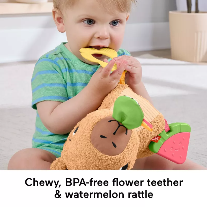 Porquinho-de-água de brincar Fisher-Price Snuggly Snacky Capy 0,5 anos