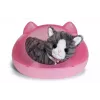BABY born My Cat Cookie com caixa, animal de estimação de boneca, 3 ano(s), pilhas necessárias