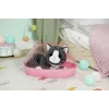 BABY born My Cat Cookie com caixa, animal de estimação de boneca, 3 ano(s), pilhas necessárias