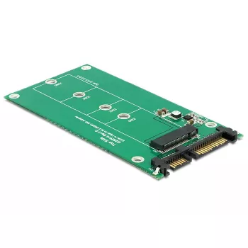 Placa de interfaces interna DeLOCK 62551