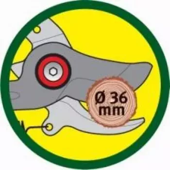 Tesoura de poda WOLF-Garten RR-VM