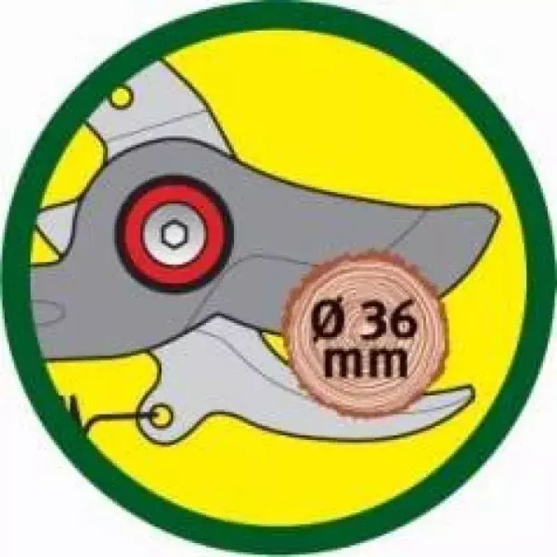 Tesoura de poda WOLF-Garten RR-VM