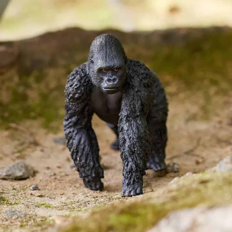 schleich WILD LIFE Gorila, macho, 3 ano(s), selva, animais selvagens / brinquedo de aventura, multicolor, plástico