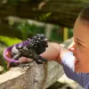 Figura Schleich ELDRADOR CREATURES Leão das Sombras 42555 Peça de coleção
