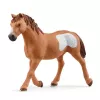 schleich Cowgirl Team Roping Fun, 3 ano(s), Multicolor