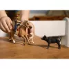 schleich Aventuras de Equitação Western, 3 ano(s), Multicolor