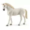 Expansão Boxe para Cavalos Schleich HORSE CLUB 42569 Multicolor