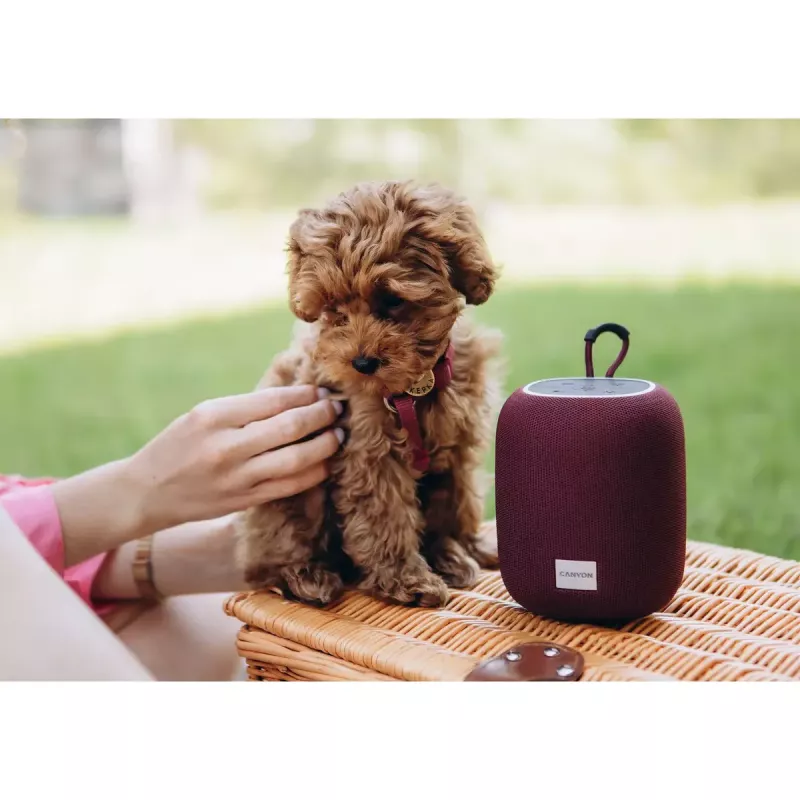 Canyon BSP-8 coluna Bluetooth portátil, 10 W, vermelho