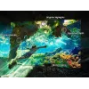 TV Samsung OLED 48 inch S90F 4K UHD (3840x2160), 120 Hz, HDR10+ Adaptive, Tizen, 2.1ch 40W