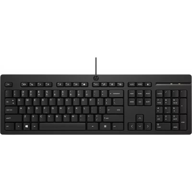 Teclado HP 125 USB WD KBD Bulk 12 tamanho completo com fio QWERTY