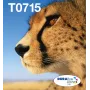 Epson multipack 4 cores T071 EasyMail, rendimento padrão, preto, ciano, magenta, amarelo, 7,4 ml, 5,5 ml, 1 unid., multipack