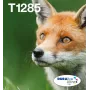 Tinteiros multipack jato de tinta Epson Fox T128 EasyMail — 4 cores (preto 5,9 ml; ciano/magenta/amarelo 3,5 ml)
